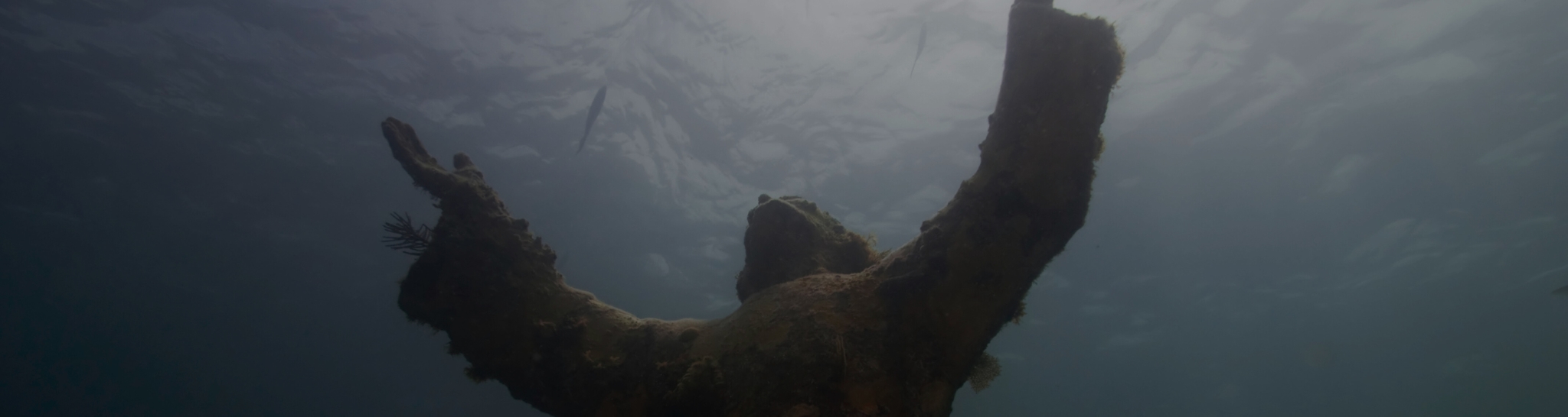 Unterwasseraufnahme einer Statue mit ausgebreiteten Armen, die von Algen und Meeresbewuchs bedeckt ist. Die Statue steht aufrecht und ist von trübem Wasser umgeben, das eine geheimnisvolle Atmosphäre schafft.