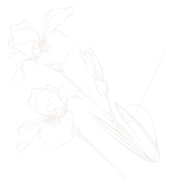 Blume